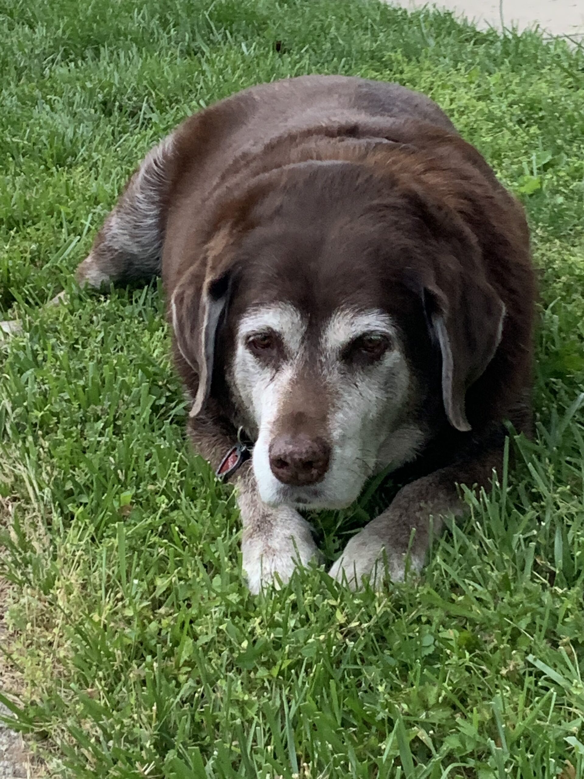 Sugar Foote memorial page