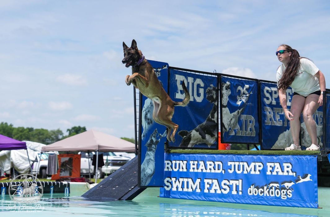 Best Friends Fur Ever Partners with Chesapeake DockDogs and Big Truck Farm Brewery for Blockbuster “Hops on the Dock” Competition featured image