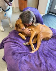 Staff member hugging dog relaxing on purple blanket at Best Friends Fur Ever for Dog Boarding near Middle River, MD